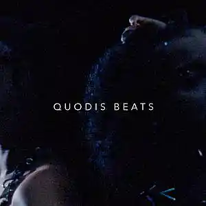 Picture for song 'The Last of Us - R&B Type Beat 6LACK Type Beat' by artist 'Quodis'