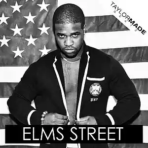 Picture for song 'Elms Street' by artist 'TaylorMadeBeatz'