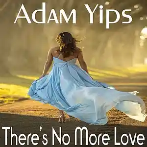 Picture for song 'There's No More Love' by artist 'Adam Yips'