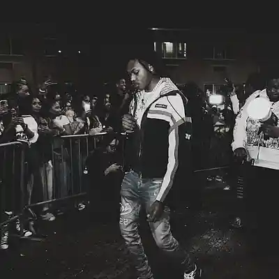 Picture for song 'Rio Da Yung OG x Detroit Type Beat - Peony' by artist 'ayoleap'