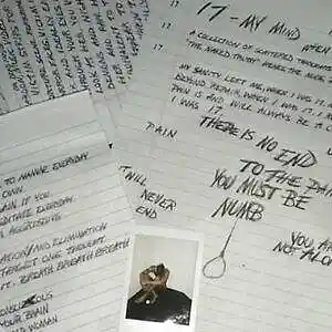 Picture for song 'XXXTentacion Ft Trippie Redd - Fuck Love ( Instrum' by artist 'D-Streak057'