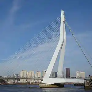 Picture for song 'Rotterdam' by artist 'ForgottomaketheMovie'