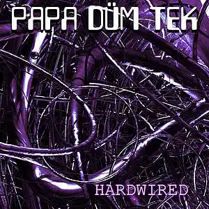 Picture for song 'RETROGRADE A GO-GO' by artist 'Papa Dumtek'