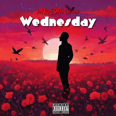 Picture for song 'Wednesday' by artist 'PHOE9I6 Beats'