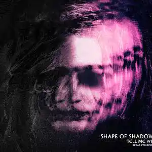 Picture for song 'Tell Me Why(feat. PpalepinkK)' by artist 'Shape of Shadows'