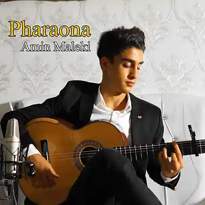 Picture for song 'Pharaona' by artist 'Amin Maleki'