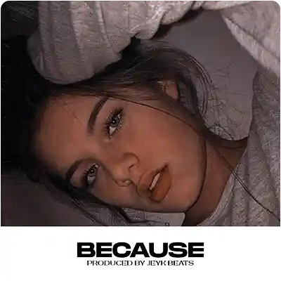 Picture for song 'Because - Sad Emotional Type Beat' by artist 'Jeyk Beats'