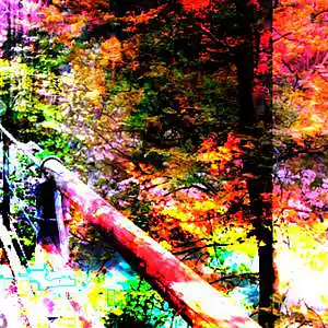 Picture for song 'All in the Thrill of the Fall' by artist 'Jon Shuemaker'