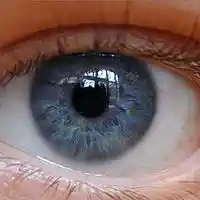 Picture for song 'For Blue Eyes' by artist 'Kurt Anderson (US)'