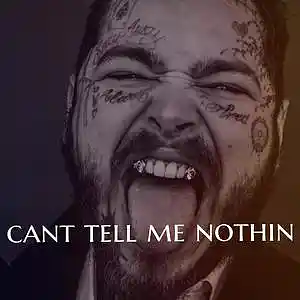 Picture for song 'CANT TELL ME NOTHIN (SOLD)' by artist 'Myke Julian AV'