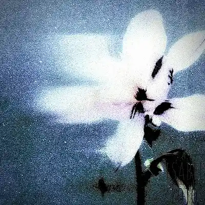 Picture for song 'Type Beat - Drake x Don Toliver x ASAP Rocky' by artist 'prod. Manso'