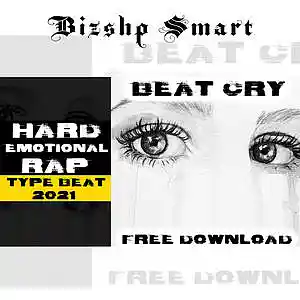 Picture for song 'Beat Cry' by artist 'Bizshp Smart'