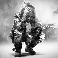 Picture for song 'Goodbye (Jacquees Type Beat)' by artist 'Dranzition Music'