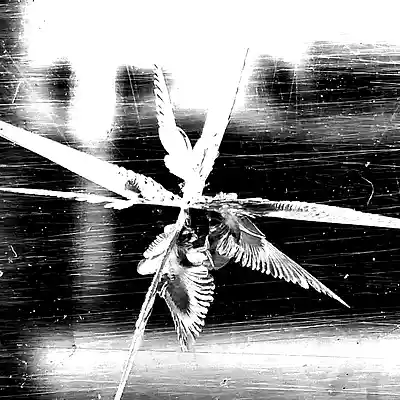 Picture for song 'stop me before I' by artist 'Ferric Prophet'