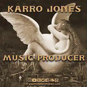 Picture for song 'THE SWAN' by artist 'KARRO JONES'