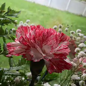 Picture for song 'WHY' by artist 'prod. by TRIPPY'