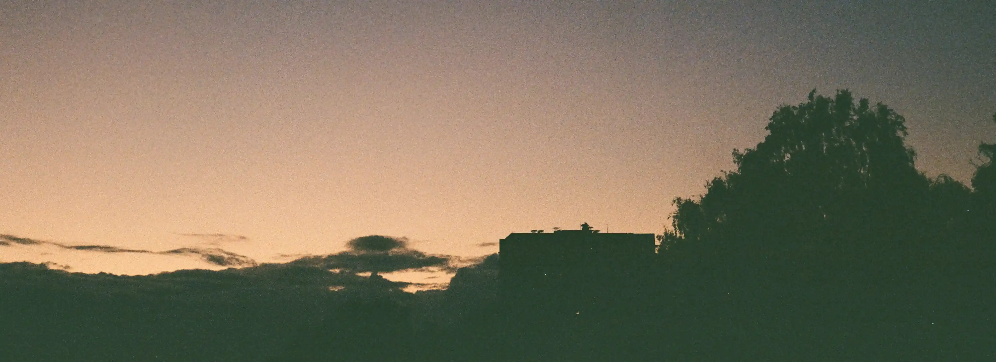 cover pic