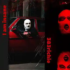 Picture for song '383Richie - I am insane' by artist '383Richie'