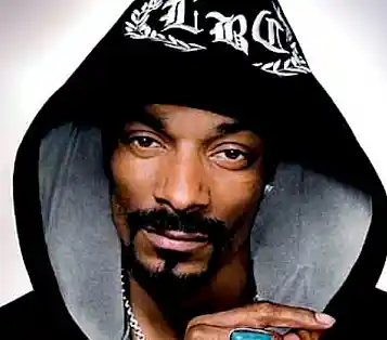 Picture for song 'pontless' by artist 'AKA 812'