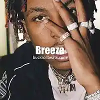 Picture for song 'Breeze / Rich The Kid Type Beat (Buy 1 Get 1 Free)' by artist 'Buckroll'