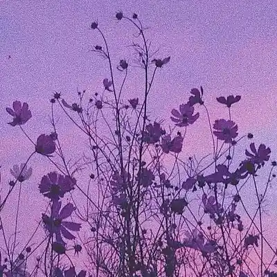 Picture for song 'Im Sorry' by artist 'BUYREY'