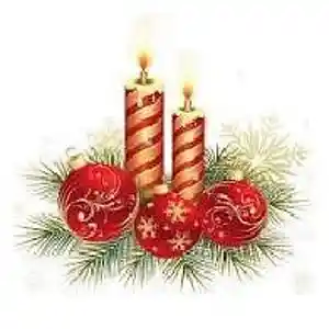 Picture for song 'Célébrons Noël' by artist 'Christian Faivre'