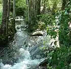 Picture for song 'La Seye (FAWM #0)' by artist 'Flying Tadpole'