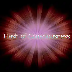 Picture for song 'Flash of Consciousness' by artist 'Fusion Juice'