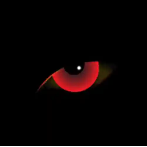 cover pic