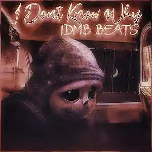 Picture for song 'I Don't Know Why (80.022 BPM, Dm)' by artist 'IDMB BEATS'