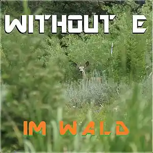 Picture for song 'IM W A L D' by artist 'WITHOUT E'