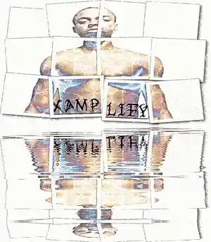 Picture for song 'They Dont Really Care About Us' by artist 'Xamplify'