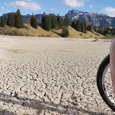 Picture for song '20250415_172422_FS_WeiLsMirGutGehtAufSM' by artist '786 scheint-Al'lahs Bande'