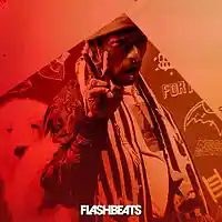 Picture for song 'Luv Is Rage' by artist 'FlashBeats.net'