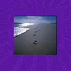 Picture for song 'CAMINANDO EN LA ARENA' by artist 'Grupo La Fem'