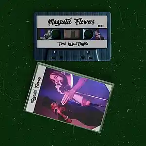Picture for song 'Magnetic Flowers' by artist 'just Clayton'
