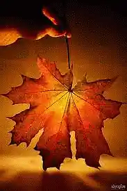 Picture for song 'Someday (XzII prod./FREE D/L)' by artist 'KATRO Production'