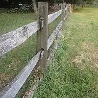 Picture for song 'Endless Summer' by artist 'Leonard Scaper'