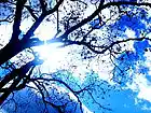 Picture for song 'First Saturday of June' by artist 'Mokee Dugway'