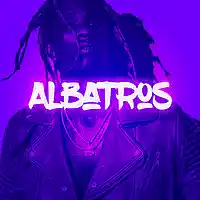 Picture for song 'Albatros' by artist 'Pragz'