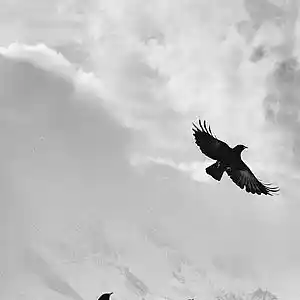 Picture for song 'Hills(Prod.whoDeany)' by artist 'whoDeanyBeatz'