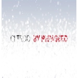 Picture for song 'Yard old time Instrumental 23 Project - 12215 111' by artist 'Michael Charles Millis'