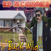 Picture for song 'P. & P. in Viva L.V. (The Sex Kats Mix)' by artist 'RD McGunner'