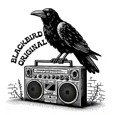Picture for song 'Beat Announcement' by artist 'BlackBird Original'