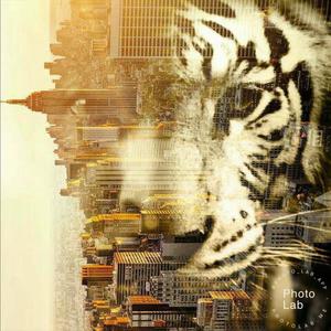 Picture for song 'KennyRed -Peso Freestyle' by artist 'KennyRed'