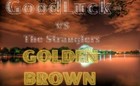 Picture for song 'Golden Brown' by artist '010-Wise'