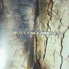 Picture for song '03 My World' by artist '10 o clock horses'