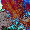 Picture for song 'A War For Peace' by artist '123Andy321'
