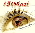 Picture for song 'My Darkness' by artist '13th Knot'