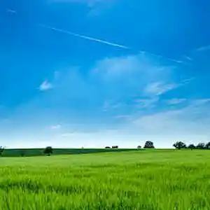 Song picture